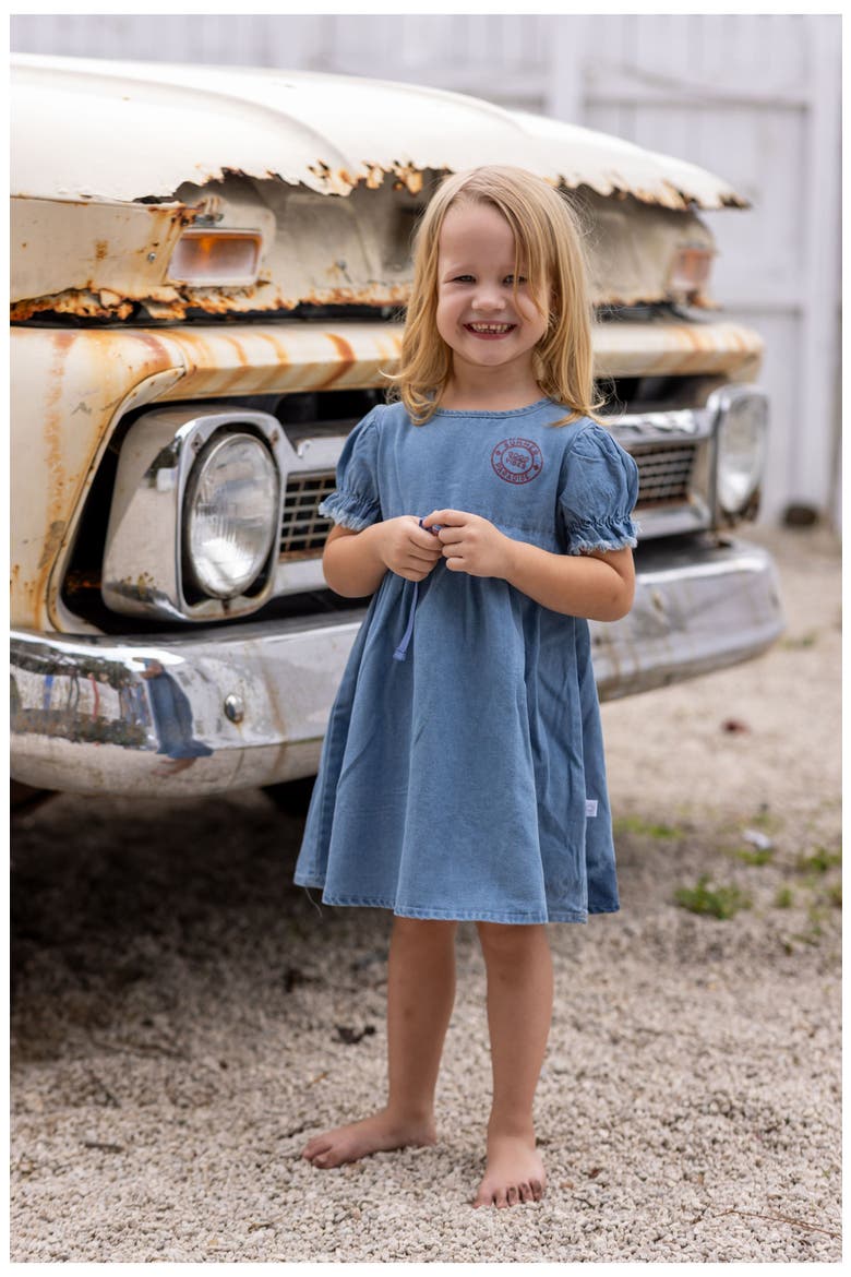 Denim Dress, Alternate, color, Blue