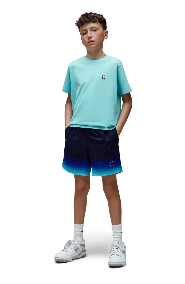 Psycho Bunny Kids' Dax Ombré Swim Trunks, Alternate, color, Evening Blue