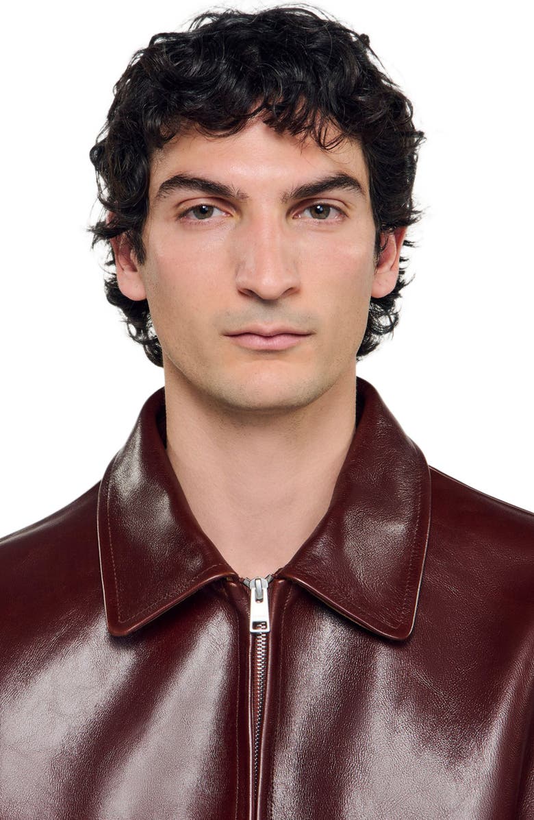 SANDRO Classic zip-up leather jacket, Alternate, color, Cognac