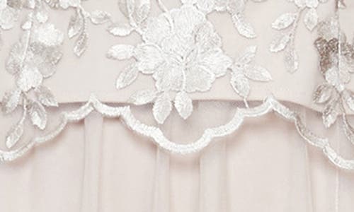 Alex Evenings Embroidered Cap Sleeve Mock Evening Dress In Taupe