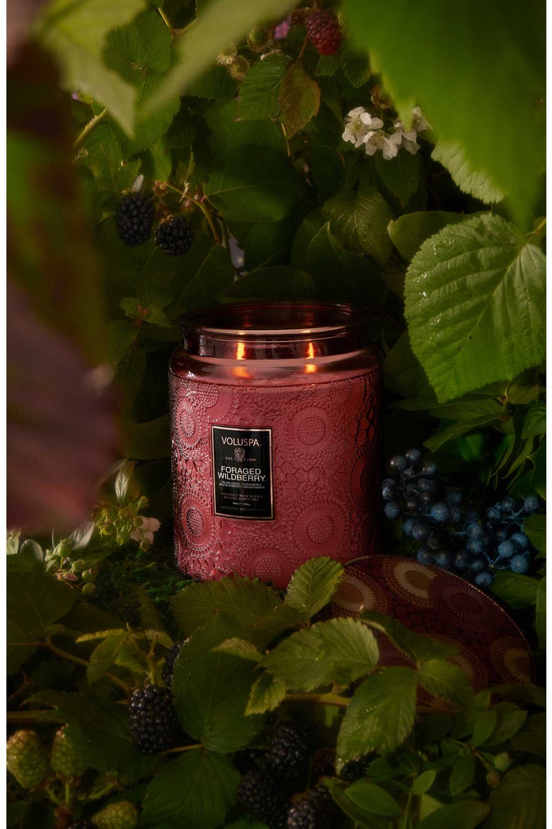 Foraged Wildberry Luxe Jar Candle, Alternate, color, FORAGED WILDBERRY