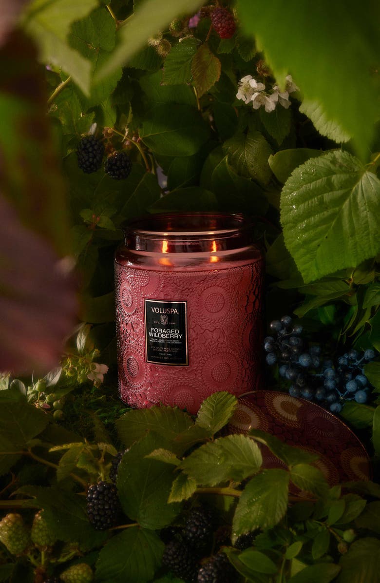Voluspa Foraged Wildberry Luxe Jar Candle, Alternate, color, Foraged Wildberry
