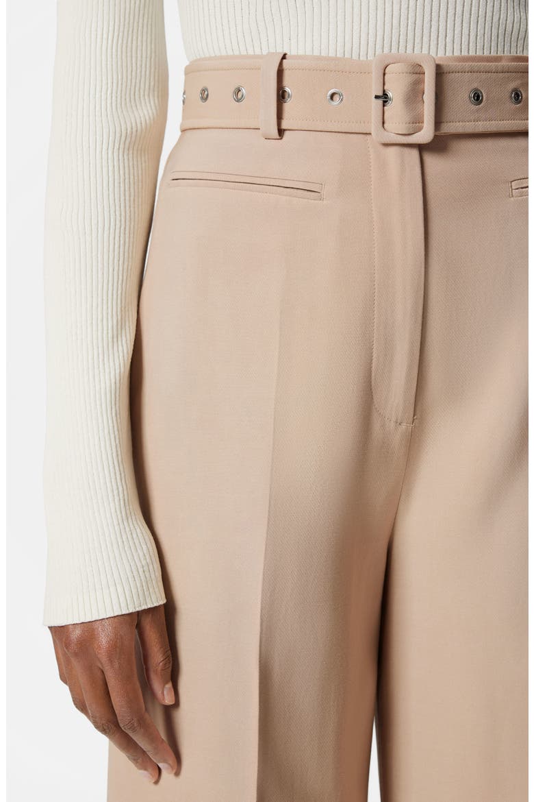 Belted Pants, Alternate, color, BEIGE MEDIUM DUSTY