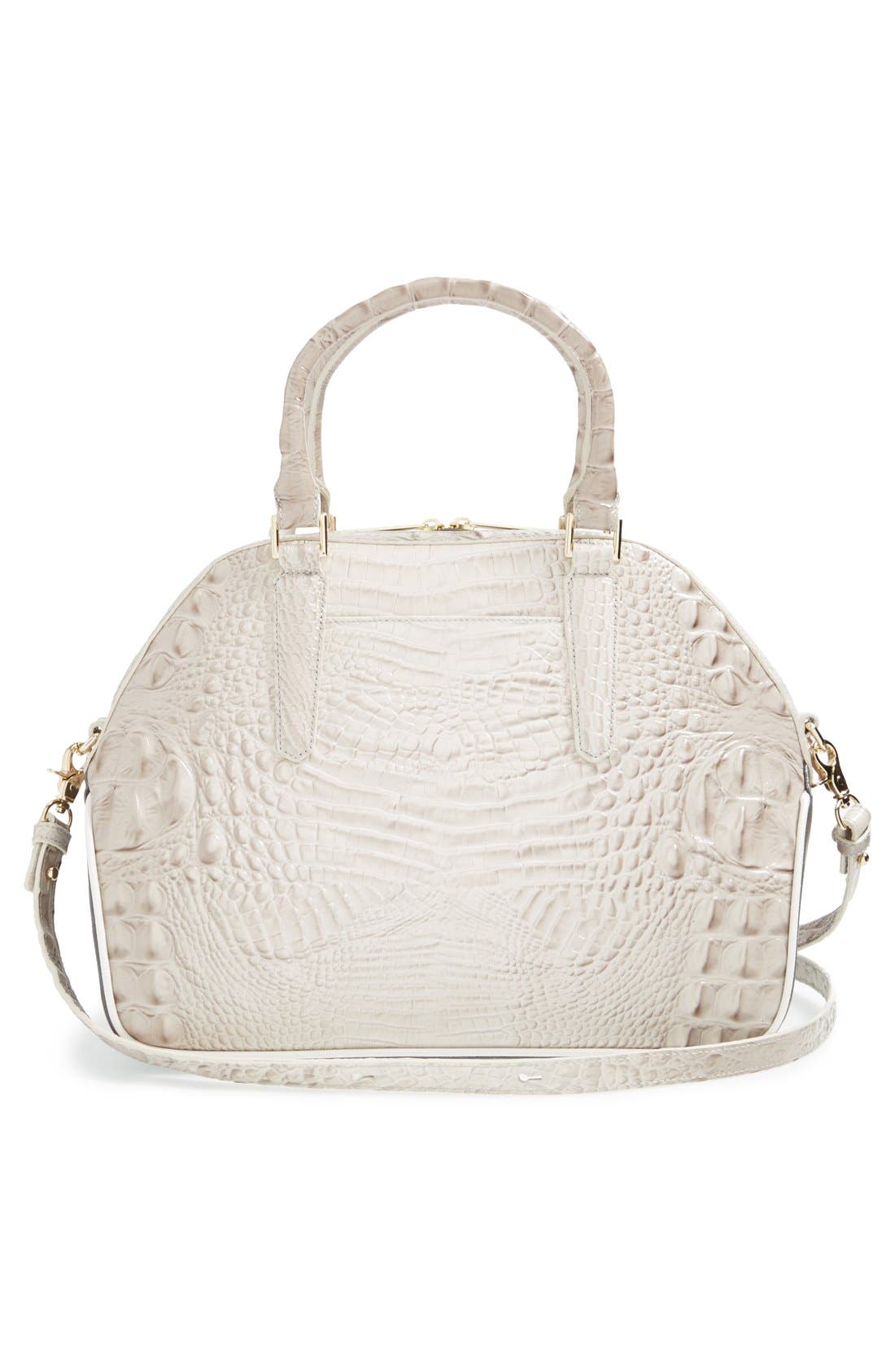 Brahmin , Alternate, color, 