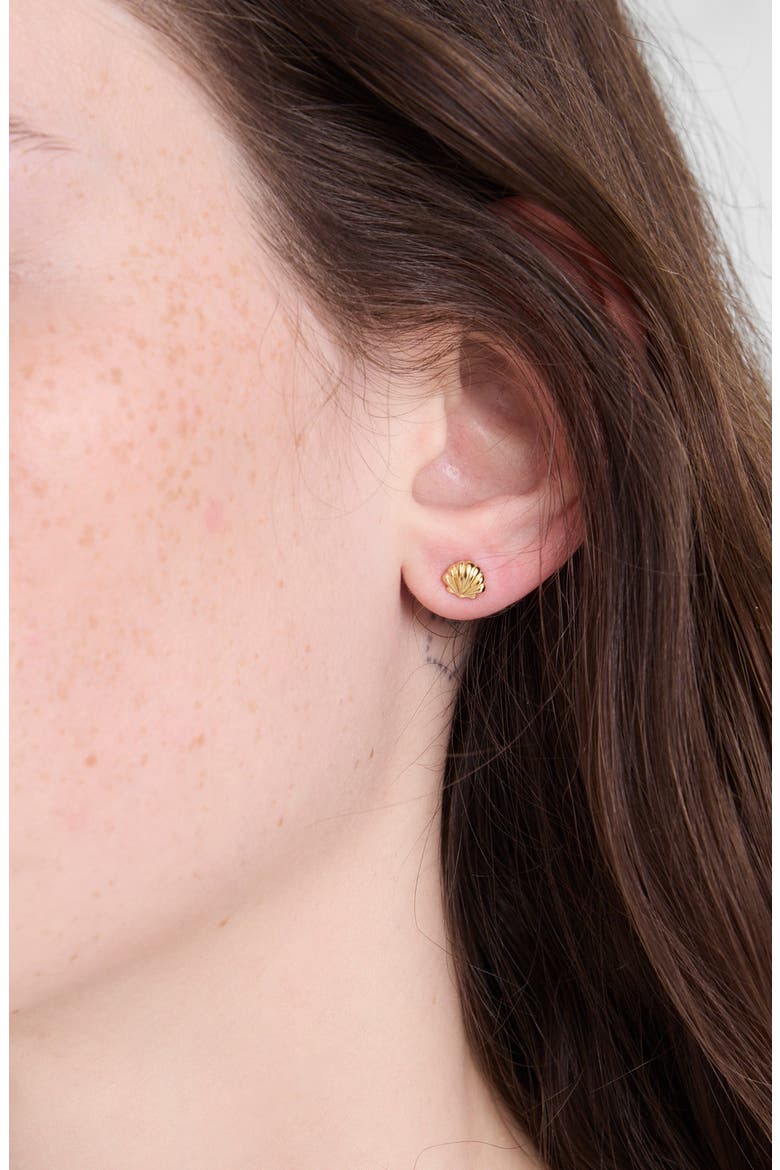 Demi-Fine Shell Stud Earrings, Alternate, color, 14K GOLD