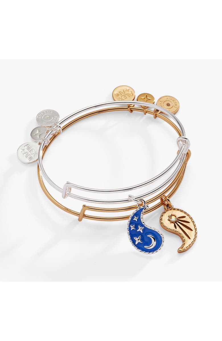 Alex and Ani Yin Yang Celestial Bff Bangle Bracelet Set Of 2, Main, color, Two Tone
