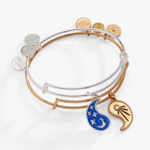 Alex And Ani Yin Yang Celestial Bff Bangle Bracelet Set Of 2 In Two Tone