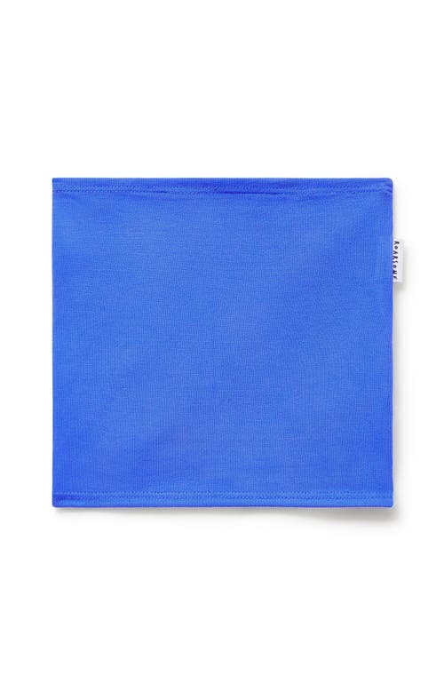 ROARSOME ROARSOME KID'S NECK WARMER