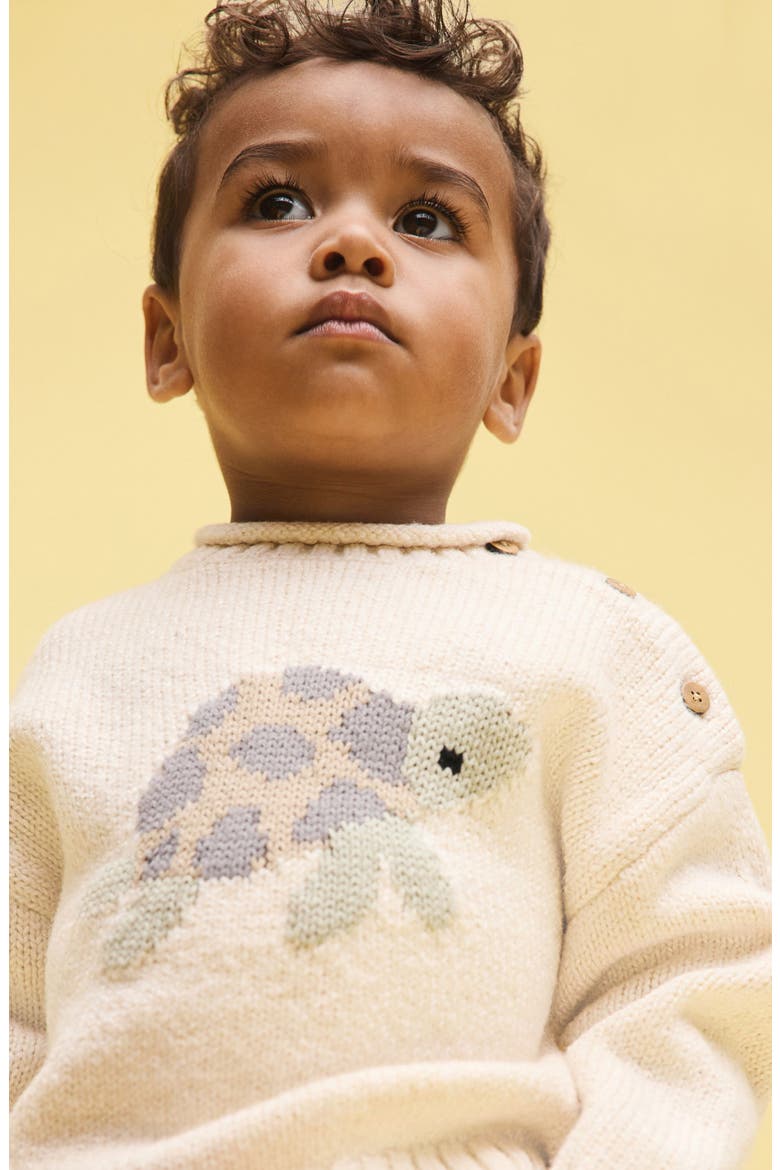 Kids' Turtle Sweater, Alternate, color, CREAM
