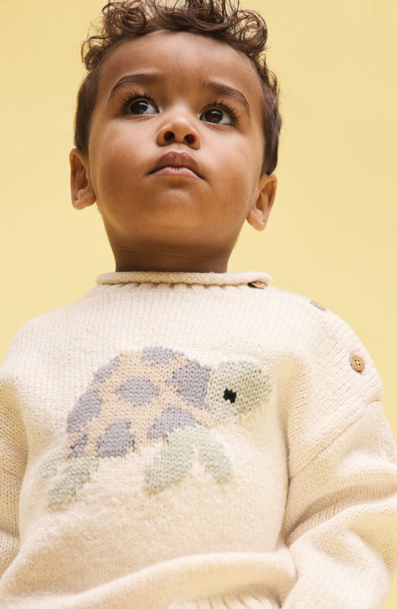 NEXT Kids' Turtle Sweater, Alternate, color, Cream