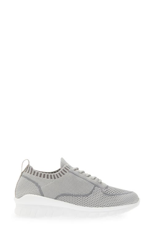 Naot Galaxy Sneaker In Grey Knit
