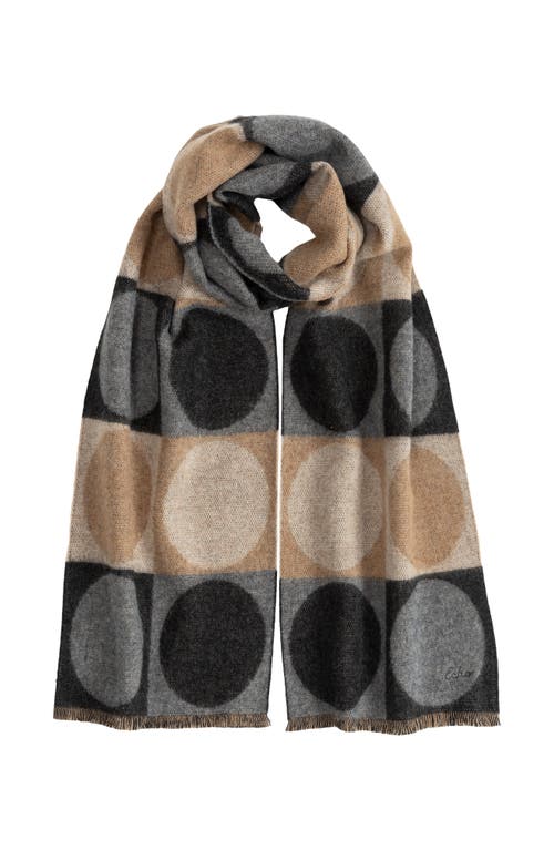 Echo Dotty Scarf In Brown