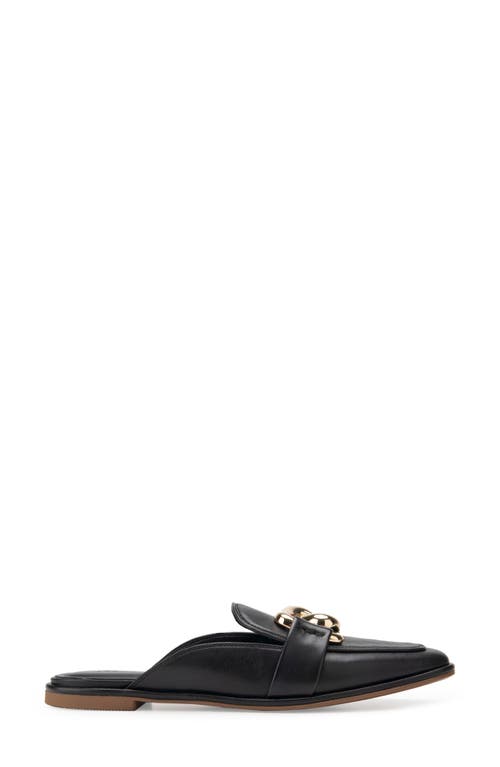 AEROSOLES AEROSOLES NELLA MULE