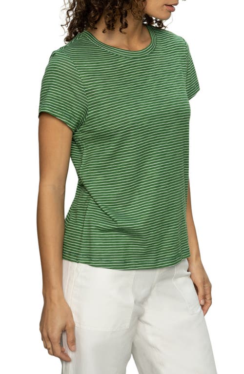 Shop Sanctuary The Perfect T-shirt In Palm Chalk