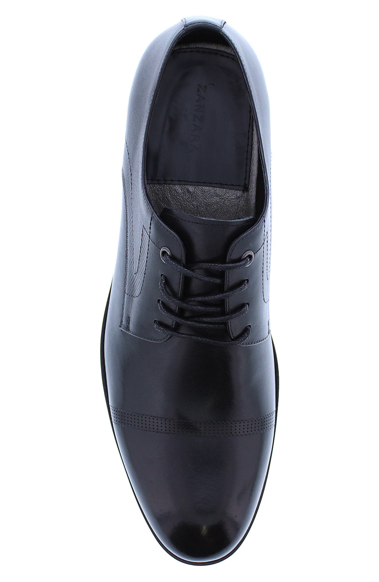 Zanzara Tobin Oxford, Alternate, color, 