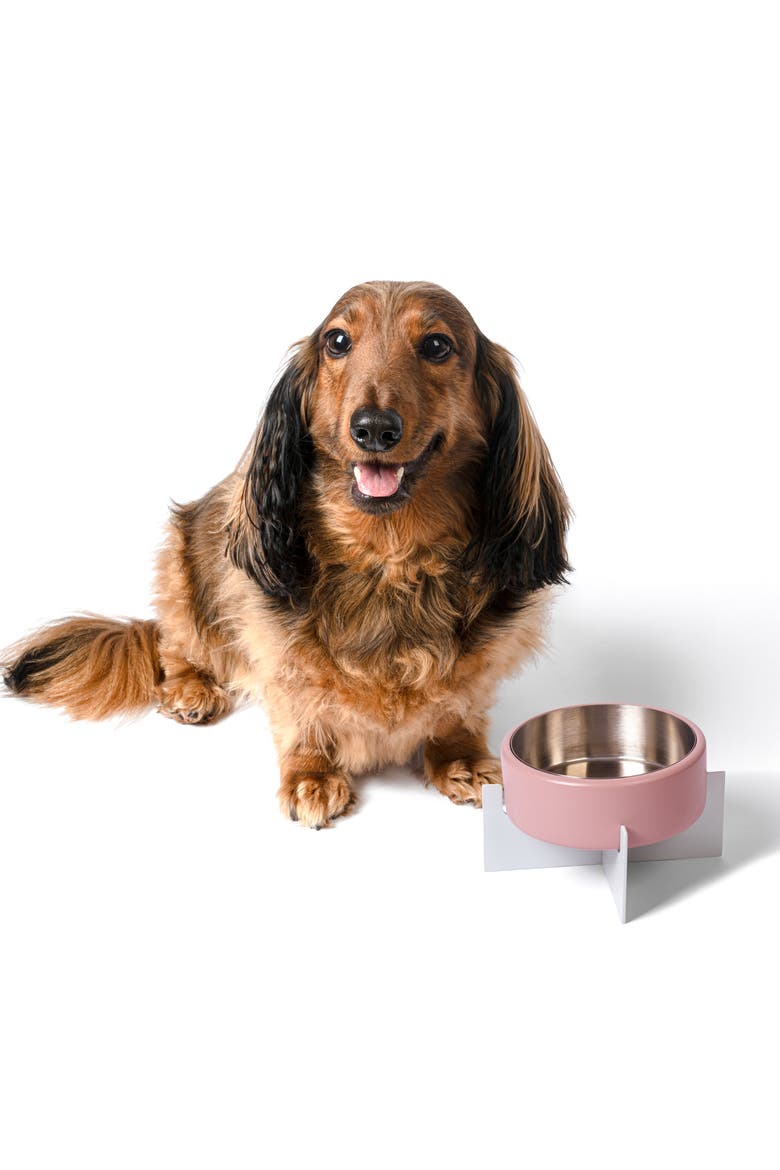 Intersecta Concrete and Stainless Steel Bowl with Metal Stand Pet Feeder, Main, color, Pink/White