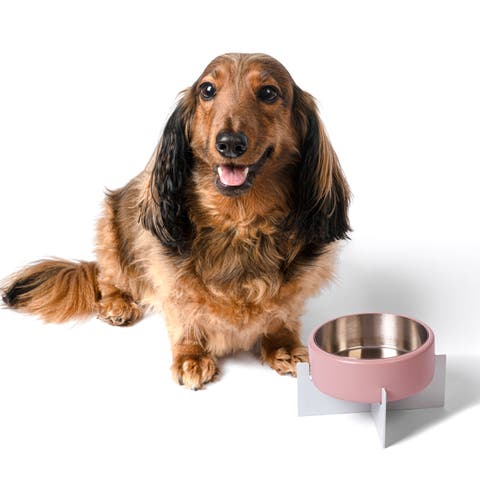 Intersecta Small/Medium Concrete and Stainless Steel Bowl 16oz (2 Cups) with Metal Stand Pet Feeder