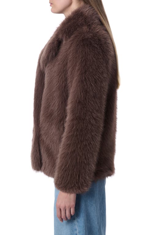 Shop Bernardo Fuzzy Faux Fur Jacket In Taupe