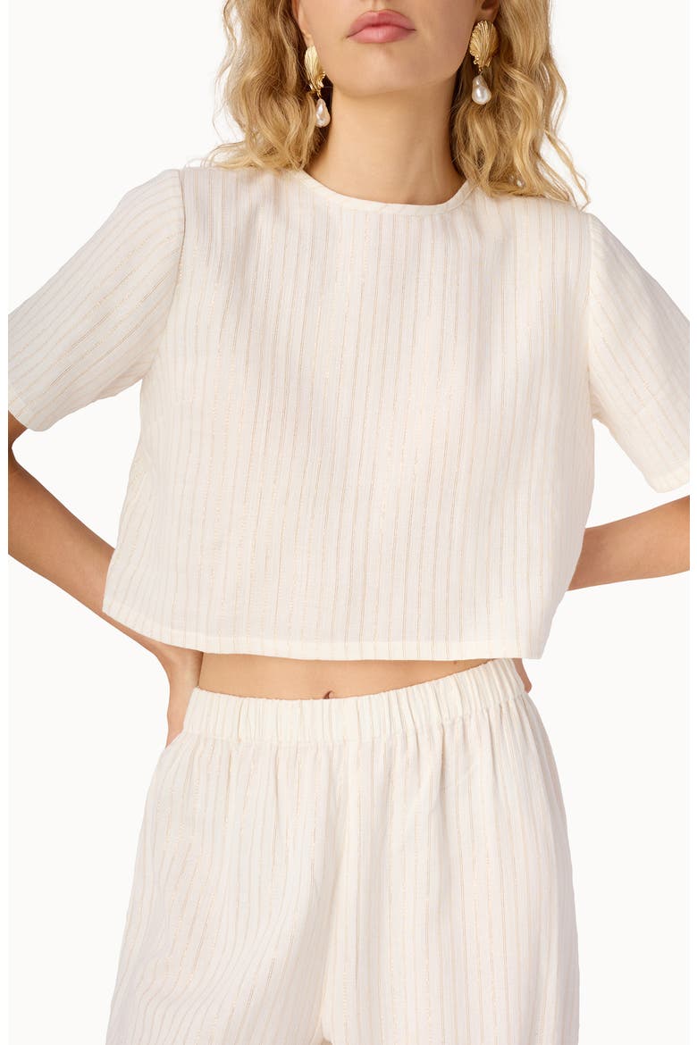 Mica Metallic Stripe Crop Top, Main, color, CERAMIC