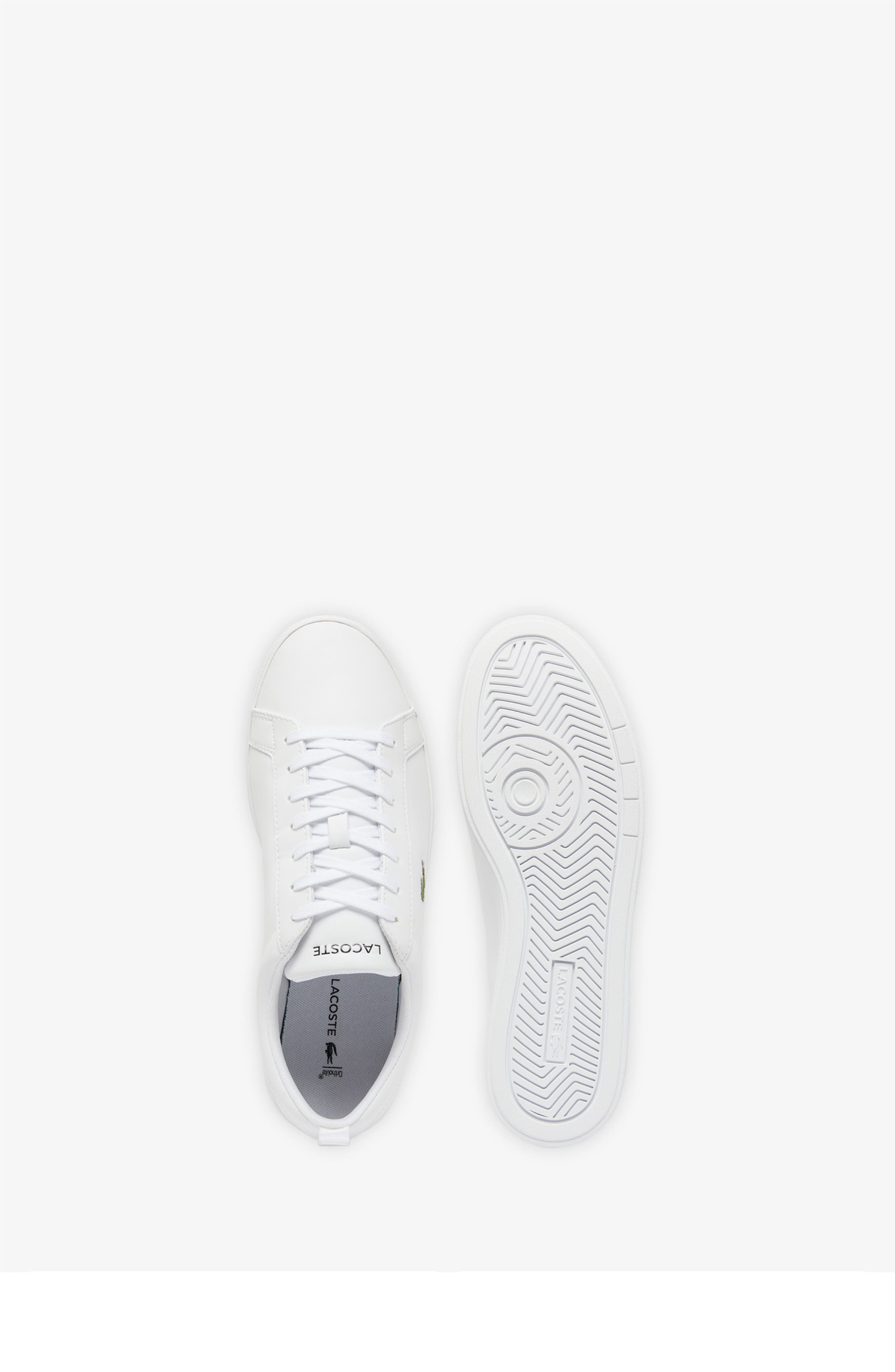 Low Top Sneaker, Alternate, color, WHITE/ WHITE