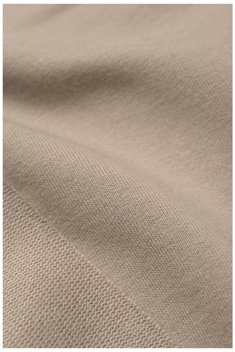 Finch French Terry Funnel Neck Top, Alternate, color, SAND