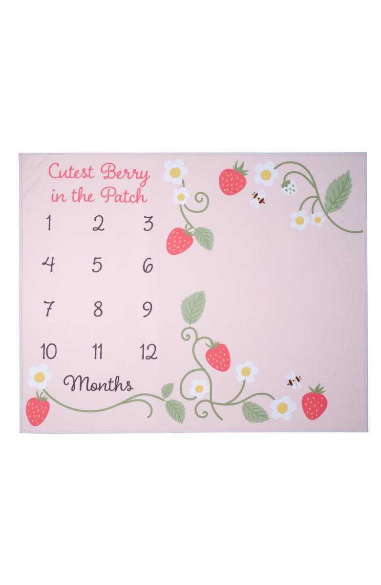 Lambs & Ivy Strawberry Patch Milestone Photo Opportunity Fleece Baby Blanket, Alternate, color, Pink