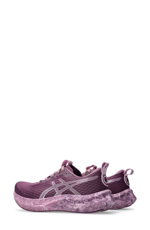 Asics ® Noosa Tri 16 Running Shoe In Dark Ube/light Ube