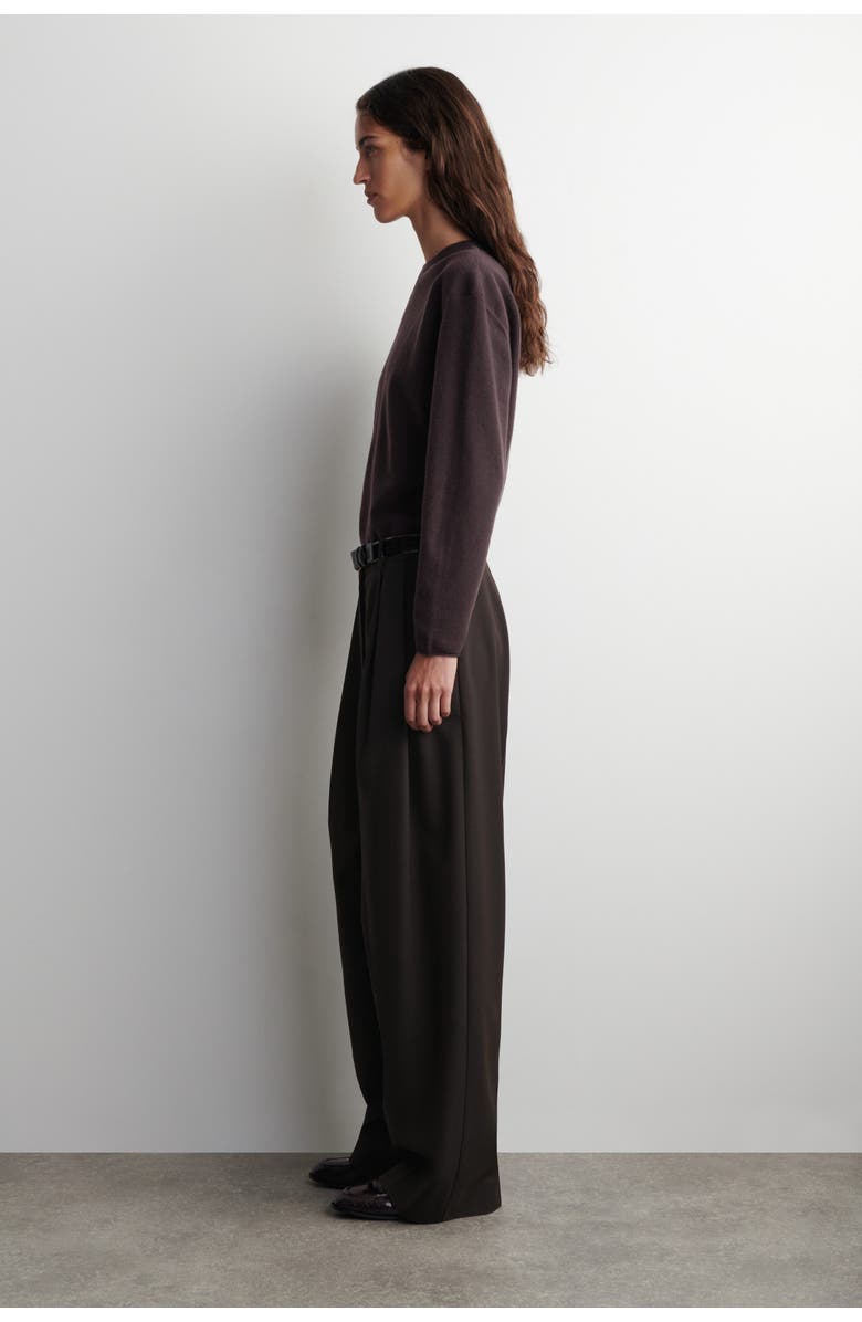 COS Merino Wool Crew-neck Jumper, Alternate, color, Dark Brown