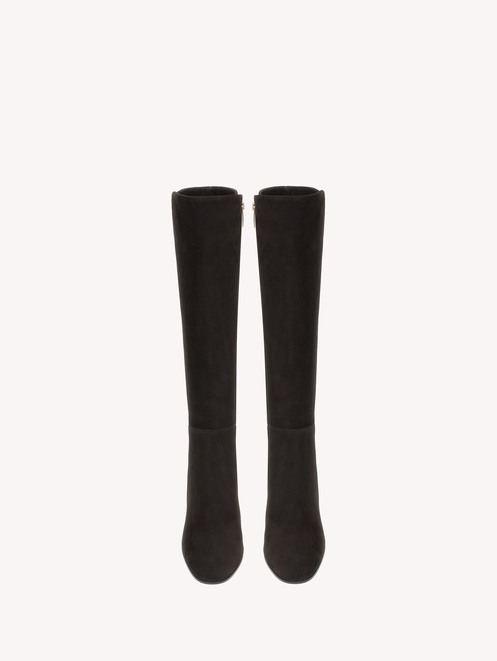 Lisa Boot, Alternate, color, Brown Suede Leather