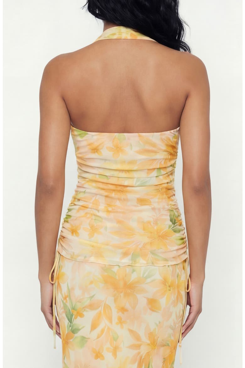 Raya Floral Halter Top, Alternate, color, FLOWER NECTAR