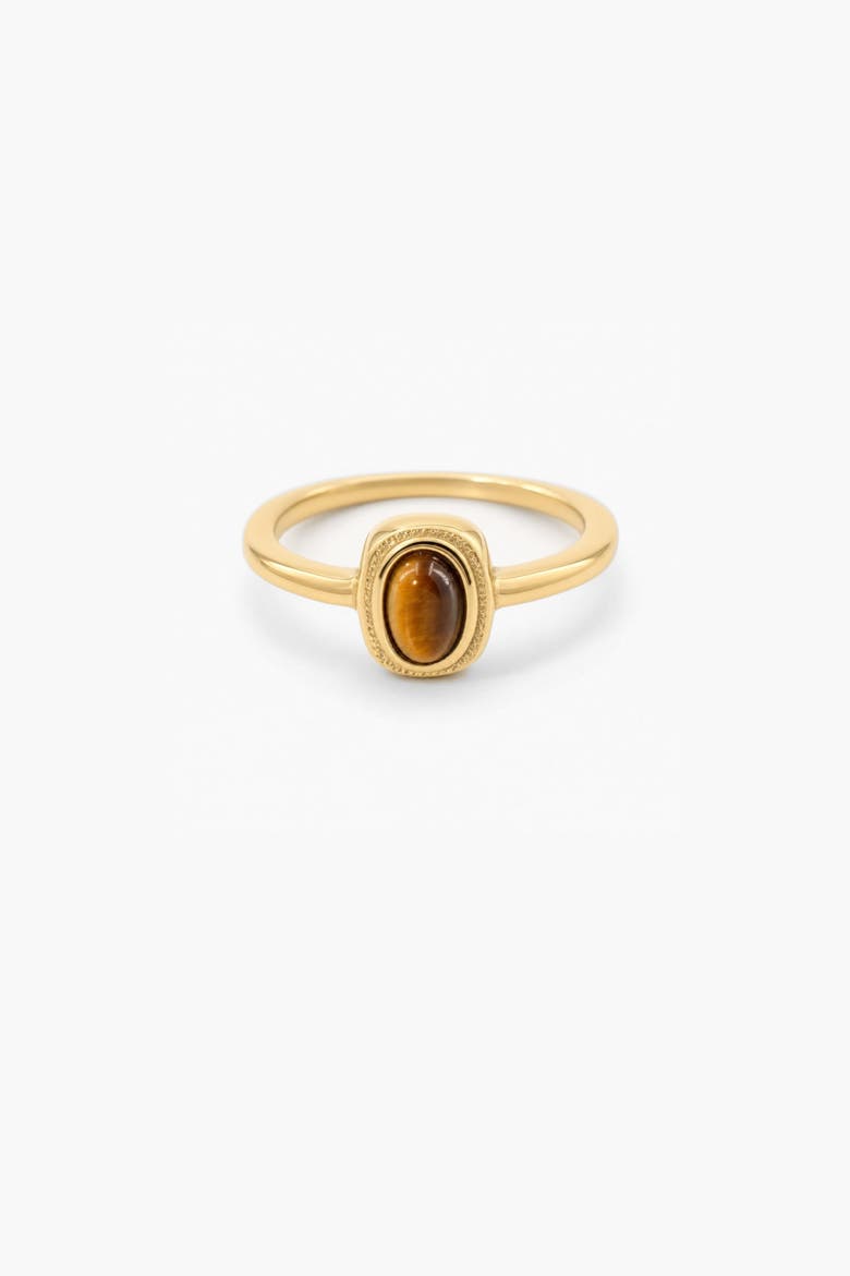 Minimal Tiger's Eye Ring, Main, color, Gold With Tiger's Eye