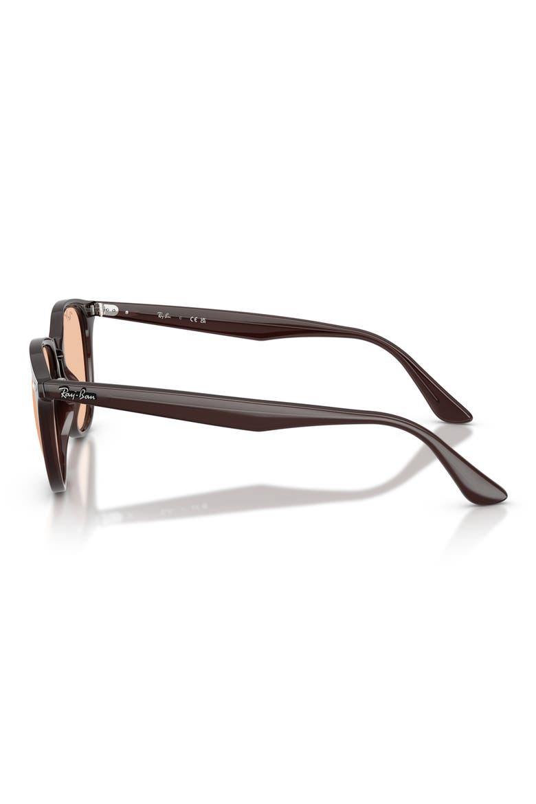 50mm Phantos Sunglasses, Alternate, color, TRANSPARENT BROWN / BROWN