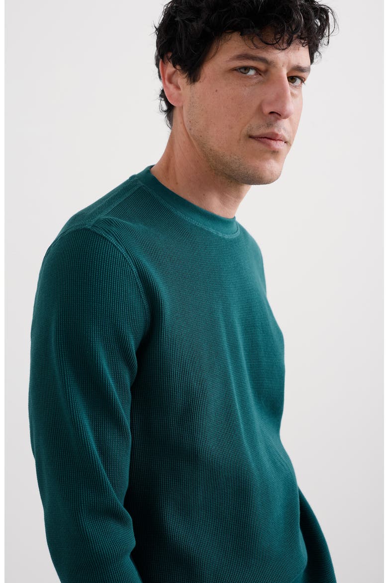Jackline Waffle Knit Organic Cotton T-Shirt, Alternate, color, KINGFISHER