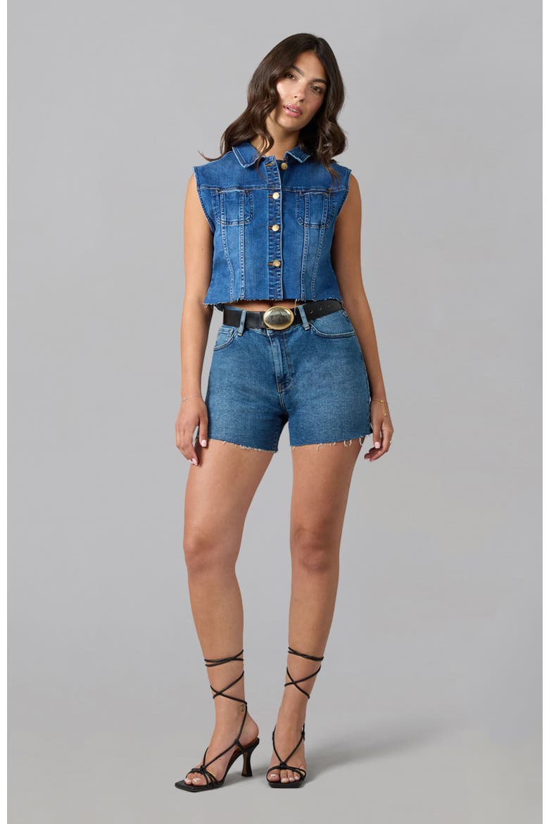 Gabbie Cropped Denim Vest, Alternate, color, Dim Sky