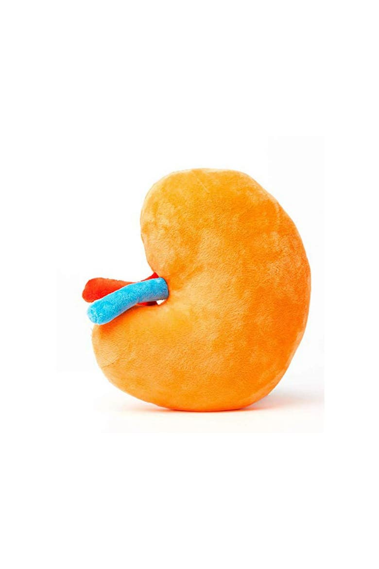 Kidney Plushie Organ, Alternate, color, Bright Orange
