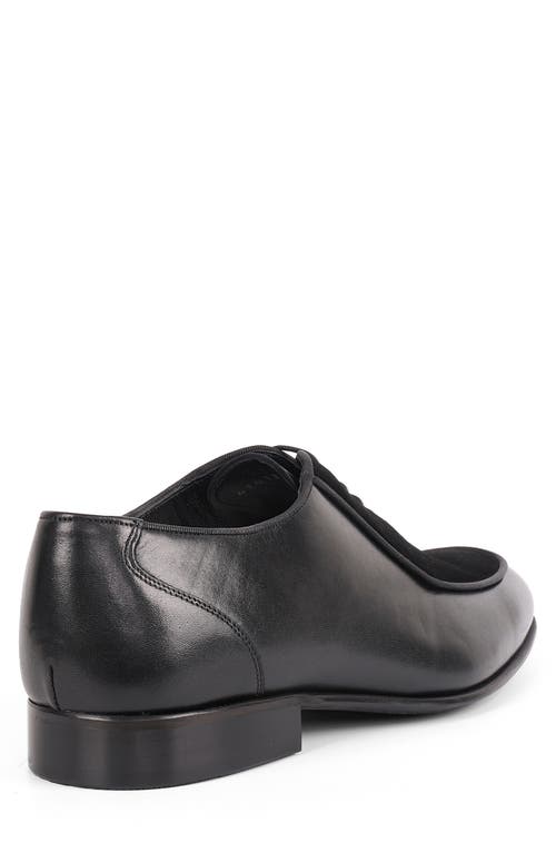 Vellapais Ovalo Oxford In Black