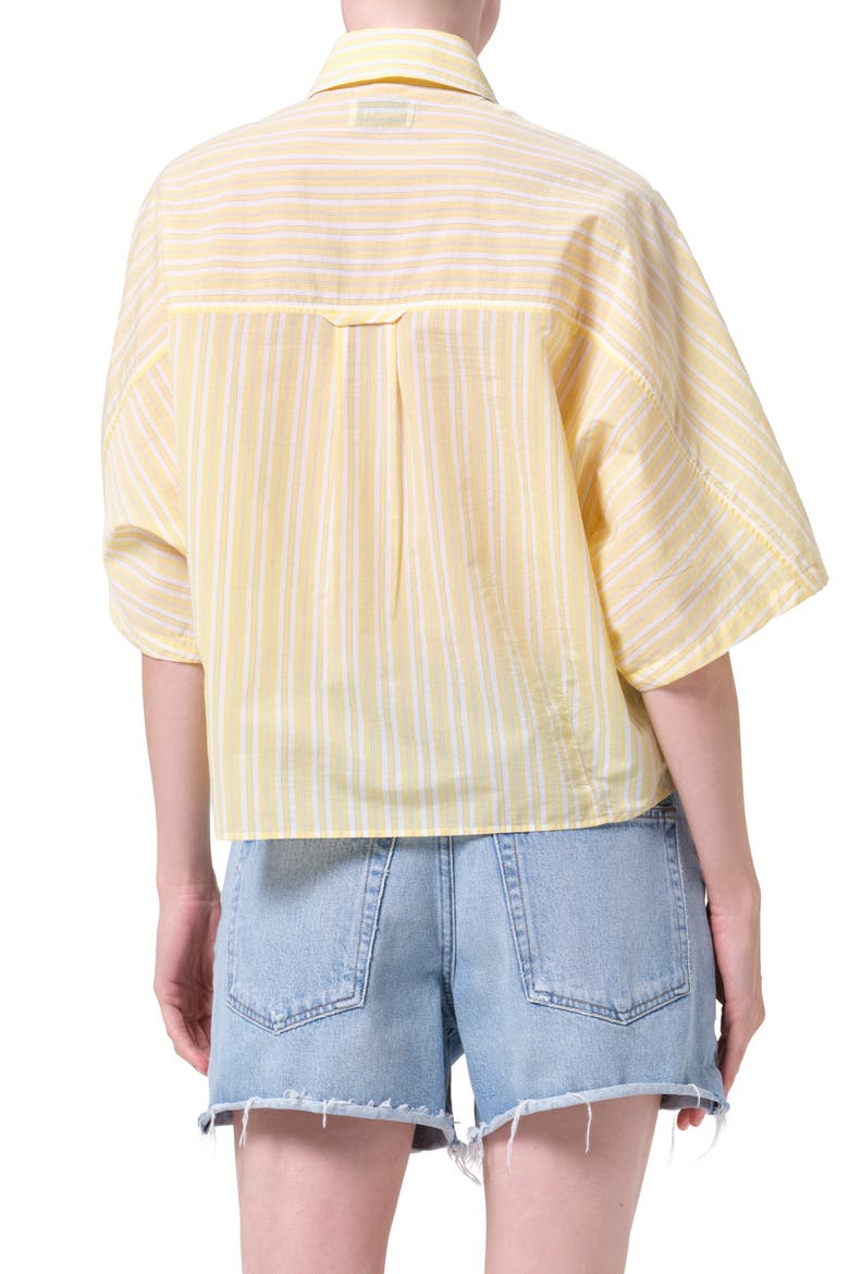 Merrin Stripe Boxy Cotton & Nylon Poplin Button-Up Shirt, Alternate, color, WIRREL STRIPE