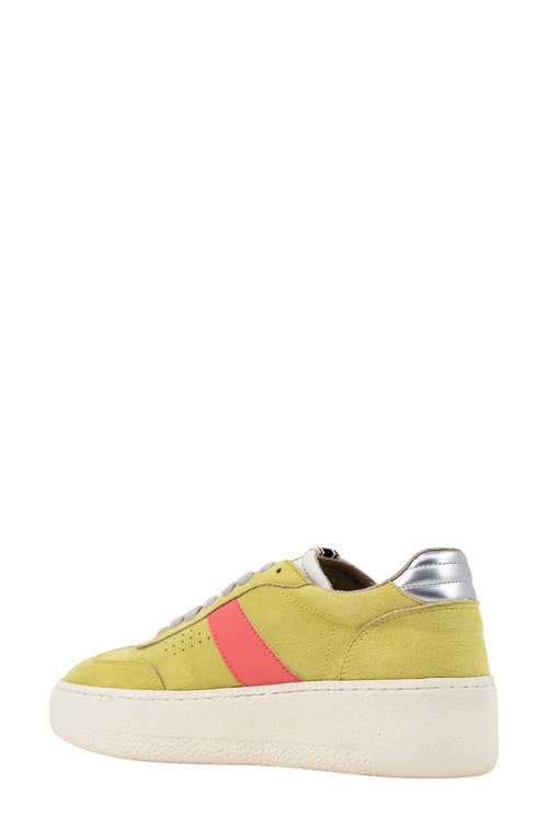 Shushop Stacey Platform Sneaker