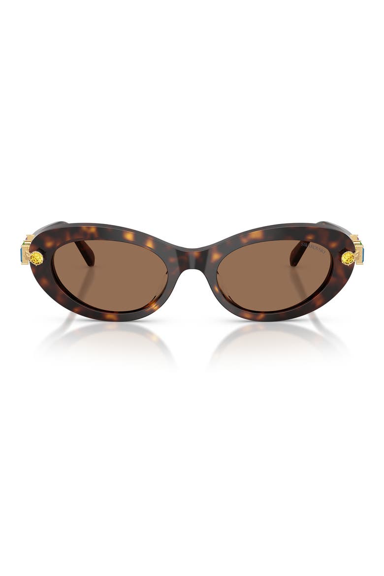53mm Oval Sunglasses, Main, color, HAVANA / DARK BROWN