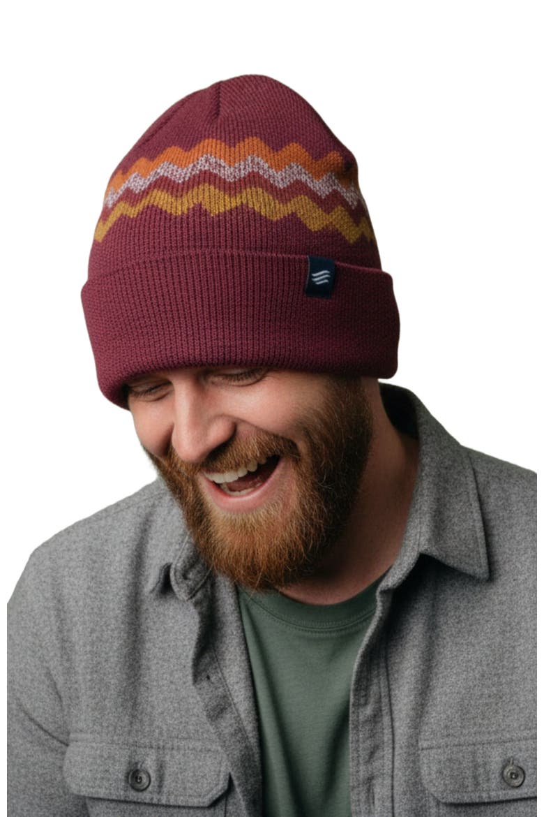 The Merino Wool Mountain Scape Knit Beanie, Alternate, color, Burgundy