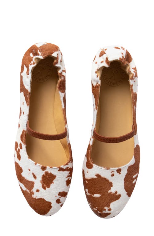 Penelope Chilvers Jazz Genuine Calf Hair Mary Jane Flat In Multi