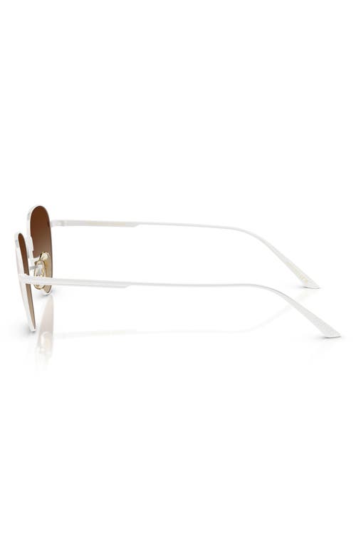 OLIVER PEOPLES OLIVER PEOPLES 52MM CAT EYE SUNGLASSES