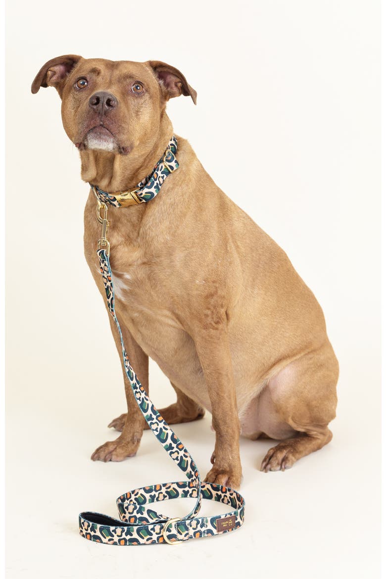Beckett Dog Leash, Alternate, color, Beckett 6ft
