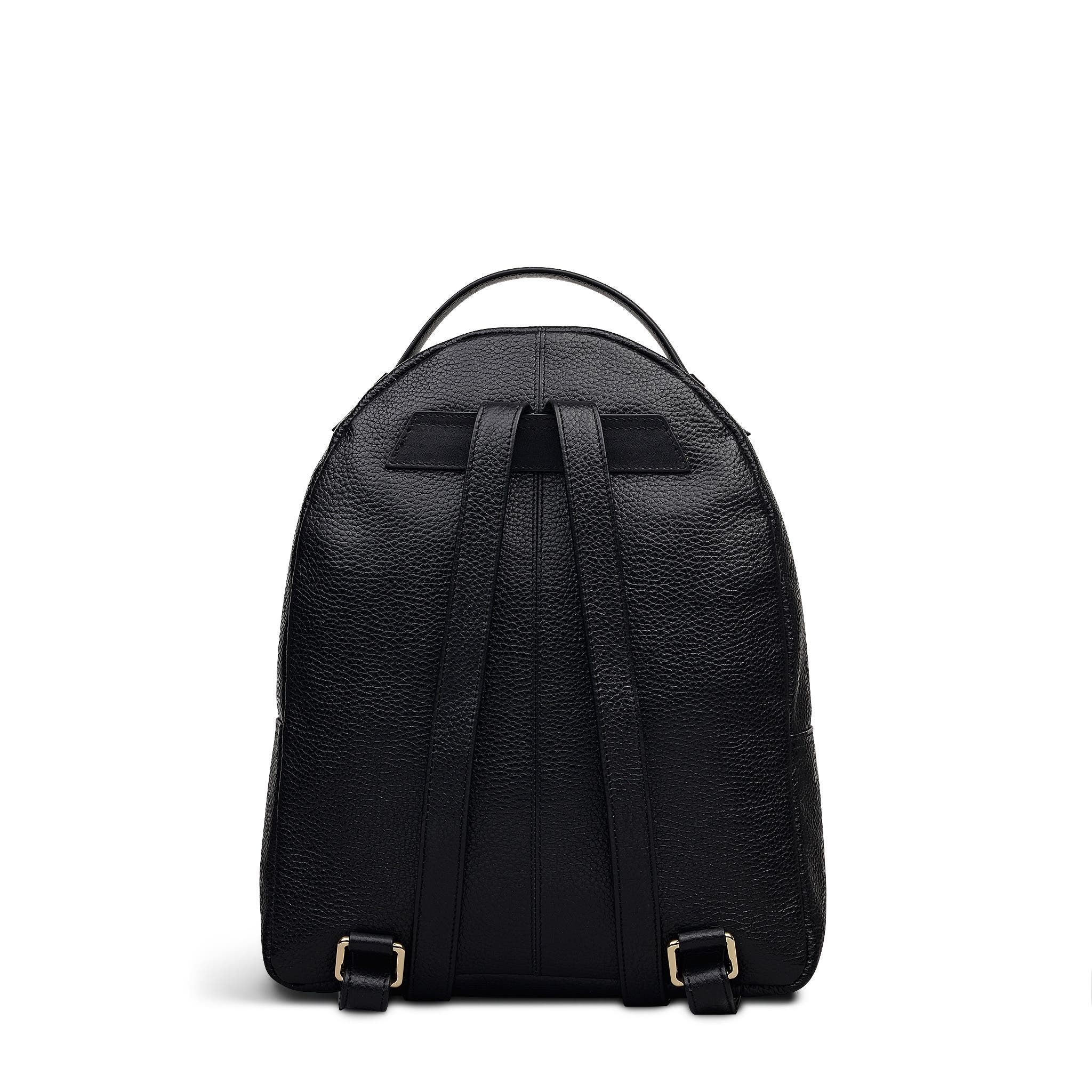 Radley Dallington Medium Zip Around Backpack, Alternate, color, Black