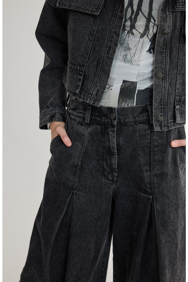 Raine Pleated Wide-Leg Jeans, Alternate, color, Black