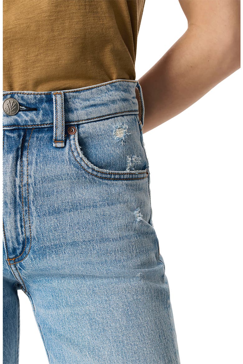 Dre Low Rise Slim Boyfriend Jeans, Alternate, color, DAPHNE