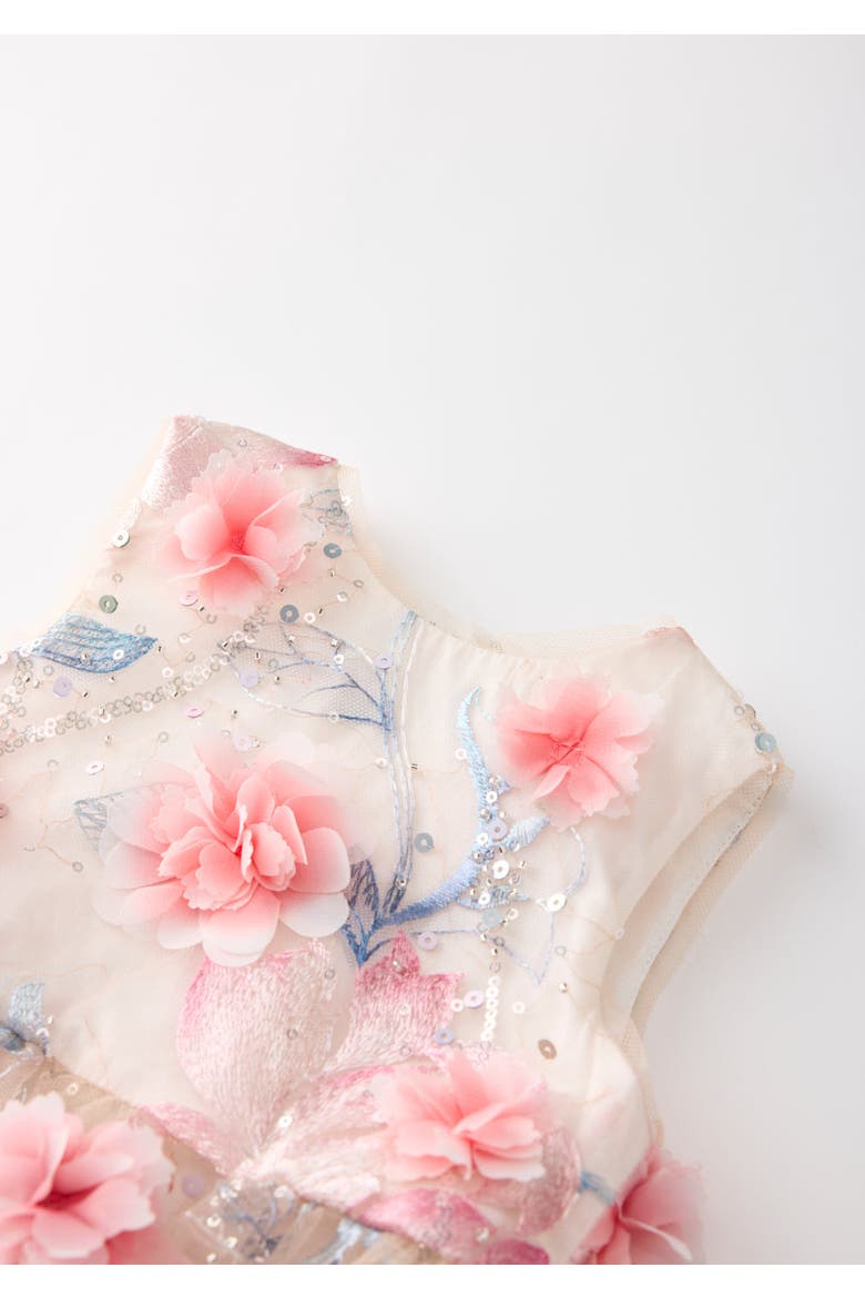 Rosalia Embroidered Mini Dress, Alternate, color, Floral
