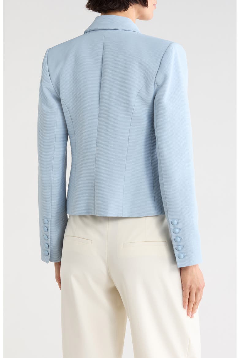 Brooke Texture Double Breasted Crop Blazer, Alternate, color, BLUE FOGS