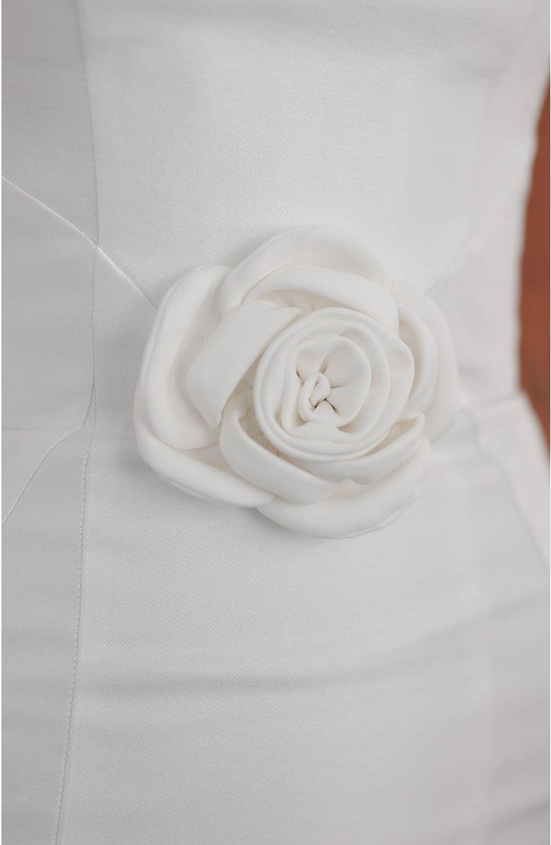 Untamed Petals Sandrine Mini Dress, Alternate, color, Ivory