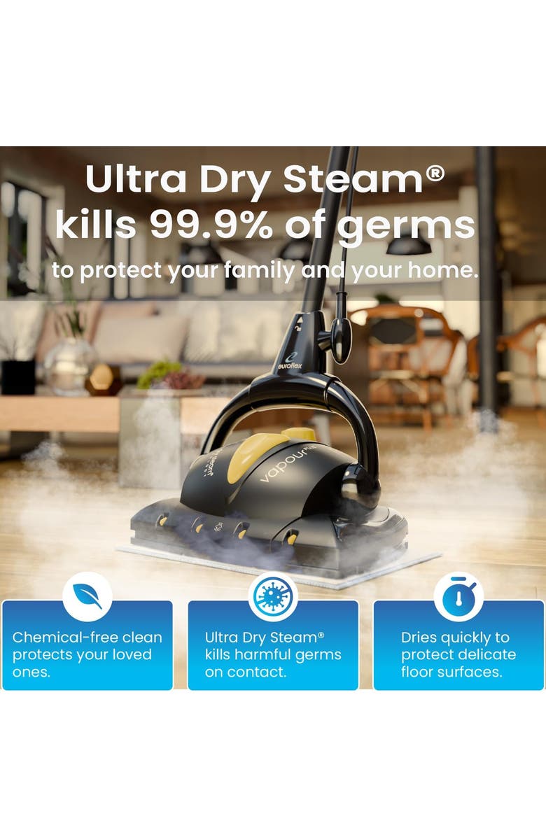 Euroflex Vapour Plus 18-Piece Steam Mop, Alternate, color, Black